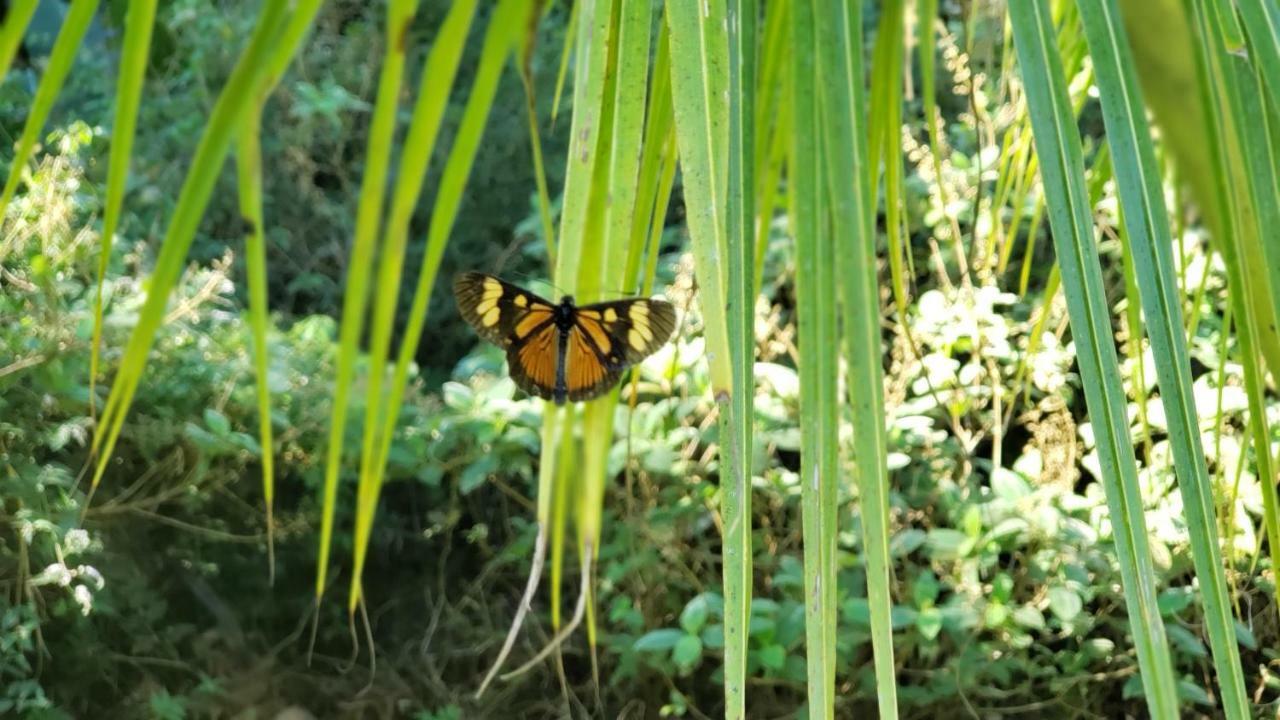 Recanto Luamar Pousada Sana Buitenkant foto